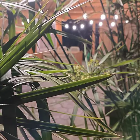 Semesterbostad Βαμβοο Nest By The Sea *