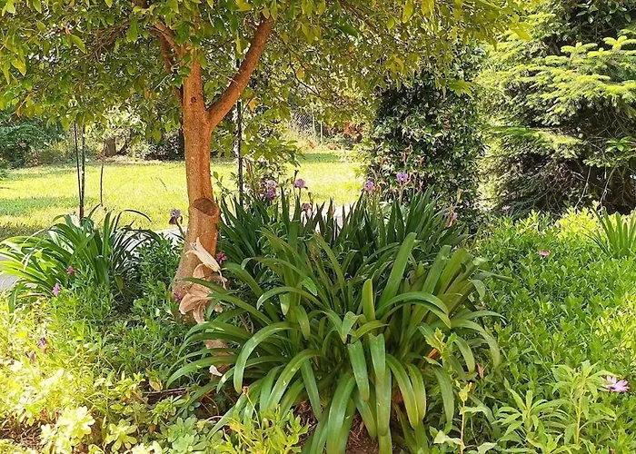 Semesterbostad Βαμβοο Nest By The Sea Palioura